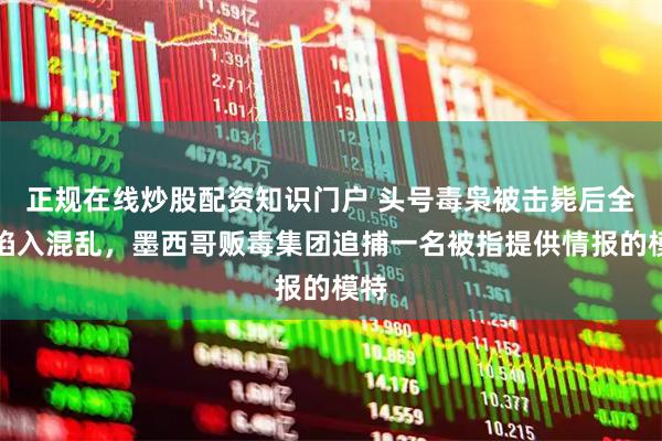 正规在线炒股配资知识门户 头号毒枭被击毙后全国陷入混乱，墨西哥贩毒集团追捕一名被指提供情报的模特